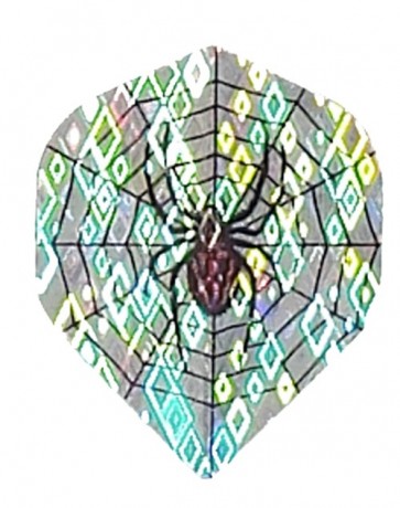 2D Hologram Spider Web Fullsize Flights
