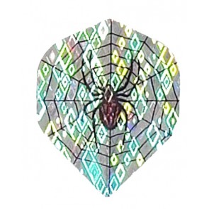 2D Hologram Spider Web Fullsize Flights