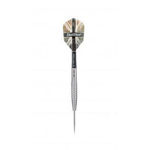 Target Darrel Fitton Dazzler - Steeldarts